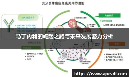 马丁内利的崛起之路与未来发展潜力分析